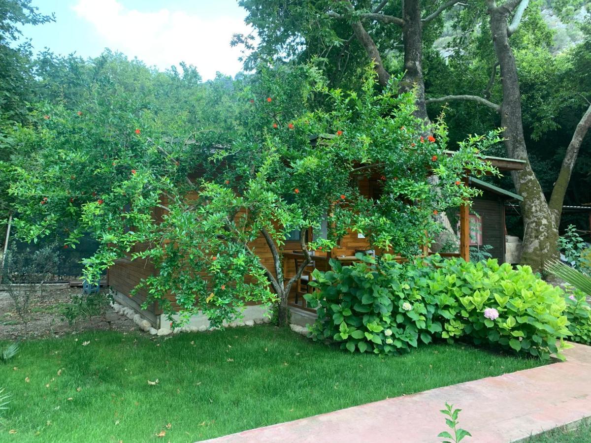 Adabella Pension Чирали Экстерьер фото