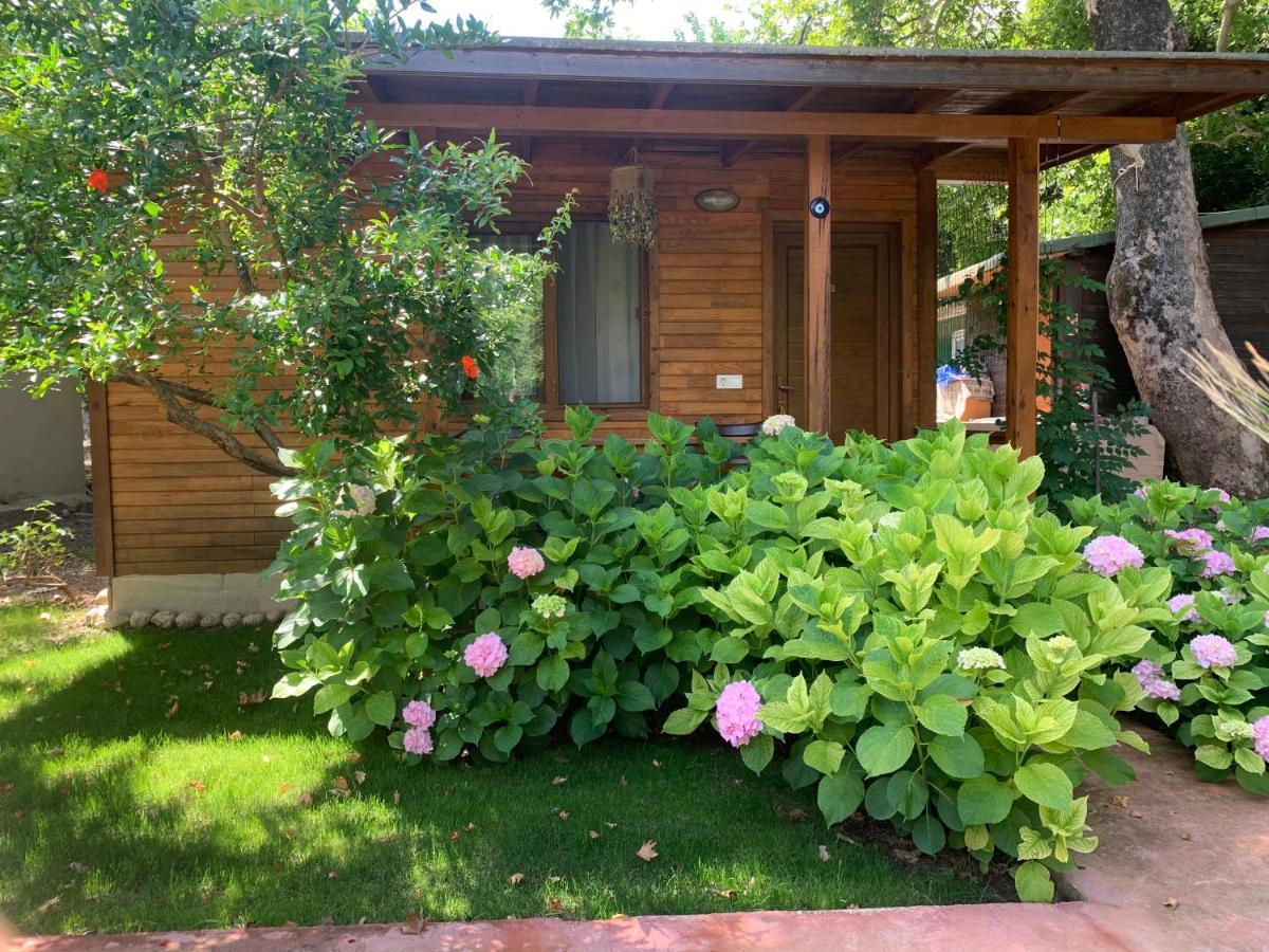 Adabella Pension Чирали Экстерьер фото