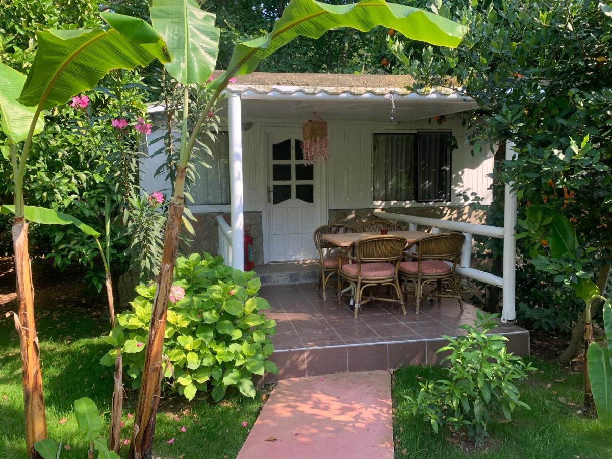 Adabella Pension Чирали Экстерьер фото